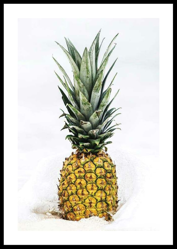 Pineapple-12