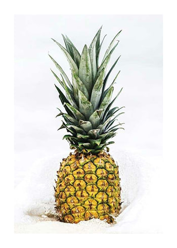 Poster Pineapple