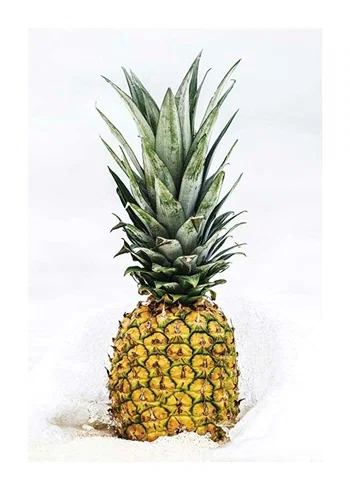 Poster Pineapple