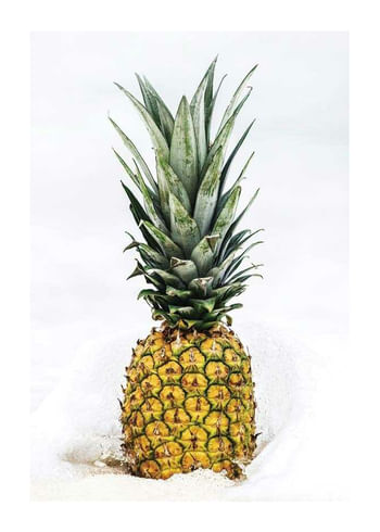 Plakat Pineapple