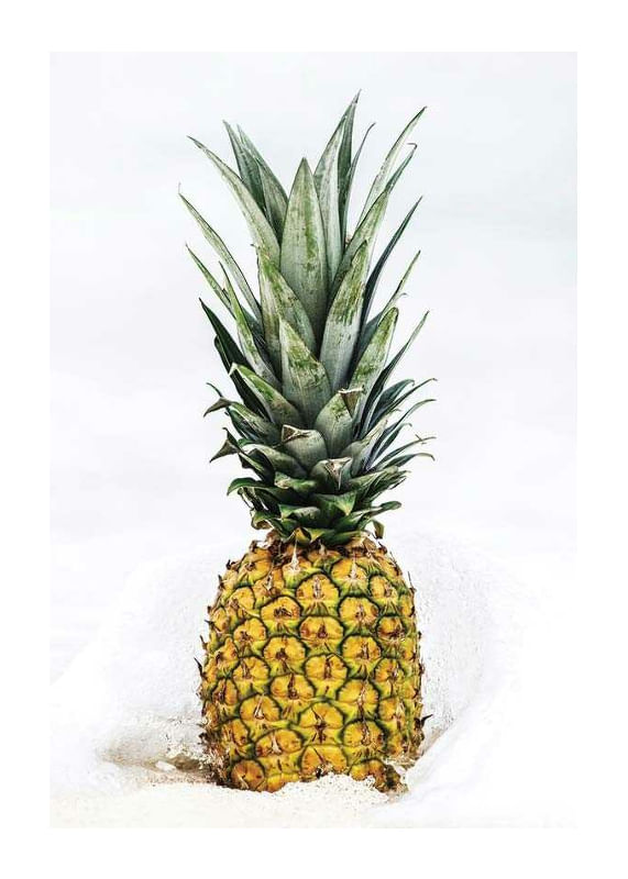 Pineapple-12
