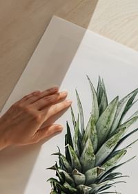 Pineapple-5