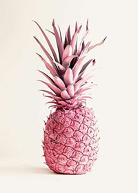 Foto van roze ananas tegen een heldere, effen achtergrond-7