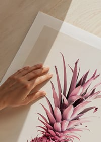 Foto van roze ananas tegen een heldere, effen achtergrond-9