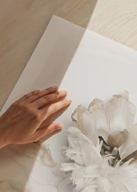 Fotografi av vit pion med vissna blad mot ljus bakgrund-9