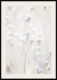 Detailný záber na sušené semenné struky vo svetlých béžových tónoch-2