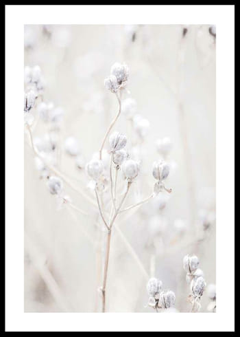 Poster Autumn Nature