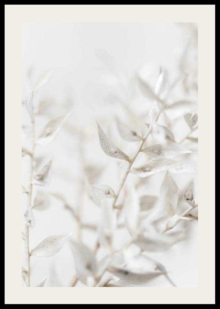 Close-up of white dried plant leaves against light blurred background-12