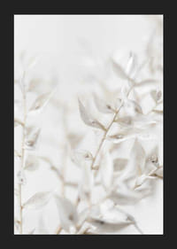 Close-up of white dried plant leaves against light blurred background-5