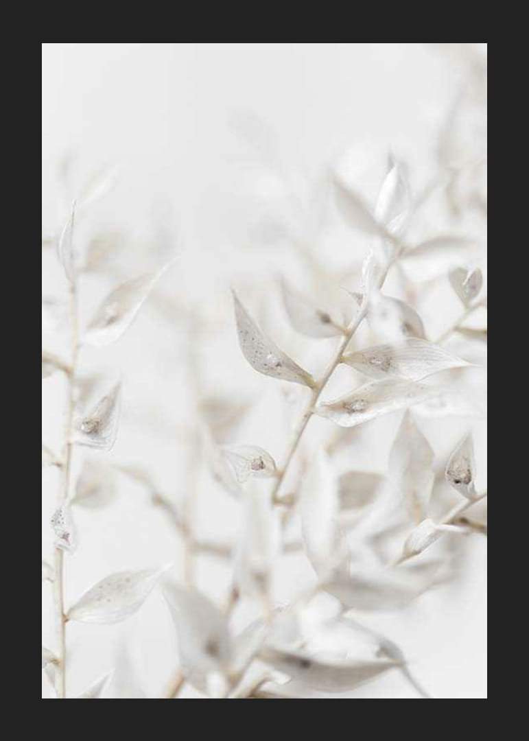 Close-up of white dried plant leaves against light blurred background-12