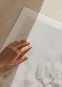 Baltu, kaltētu augu lapu tuvplāns uz gaiši izplūduša fona-9