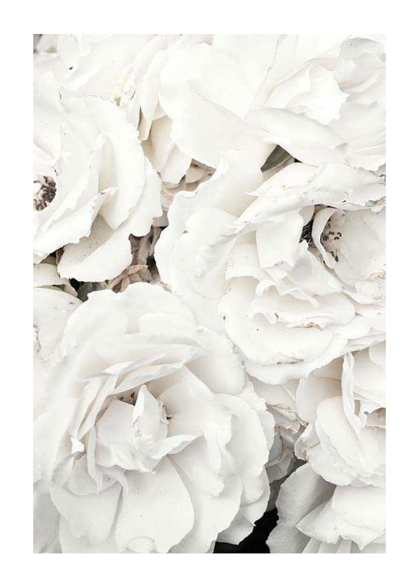 Plakāts Bouquet Of White Peonies
