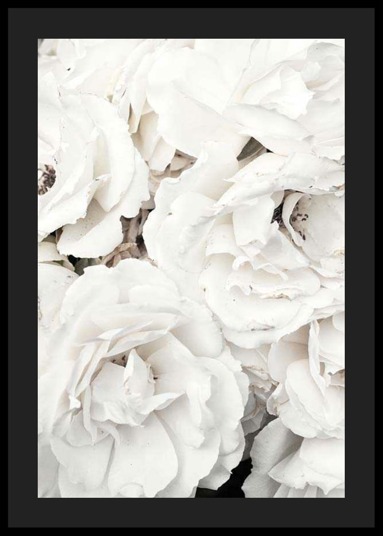Close-up of white peonies with soft petals, photographic-12