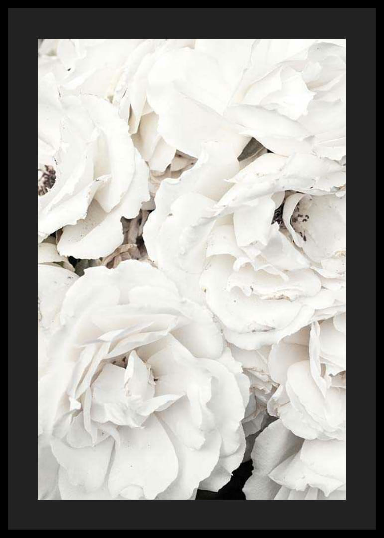 Lähikuva valkoisista pioneista pehmeillä terälehdillä, valokuvaus-12