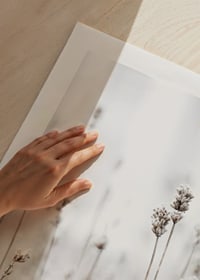 Fotografi av torra vilda växter i beige mot ljus bakgrund-9