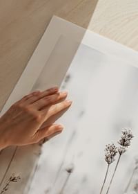In The Wild-5