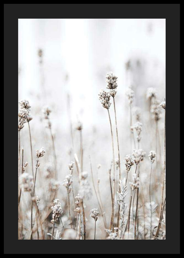 Fotografi av tørre ville planter i beige mot lys bakgrunn-12