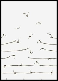 Line illustration of barbed wire turning into flying birds-6