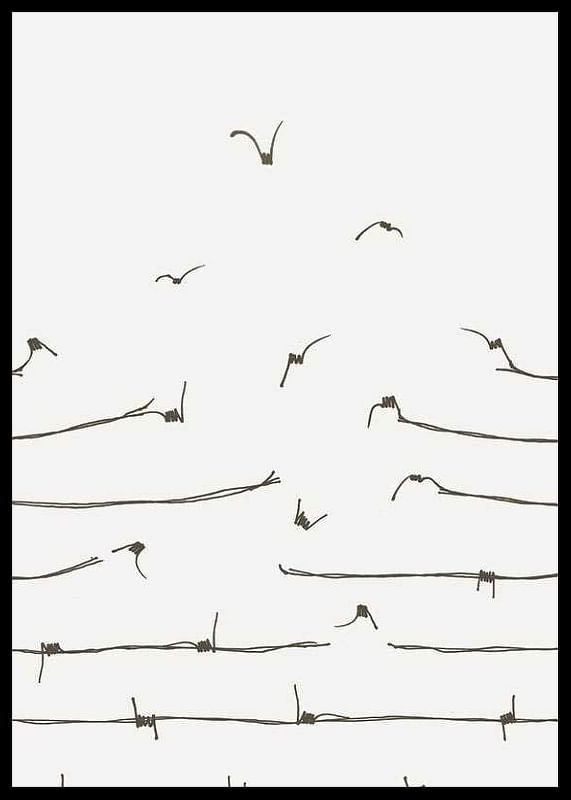 Freedom Concept-12