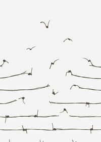 Line illustration of barbed wire turning into flying birds-7