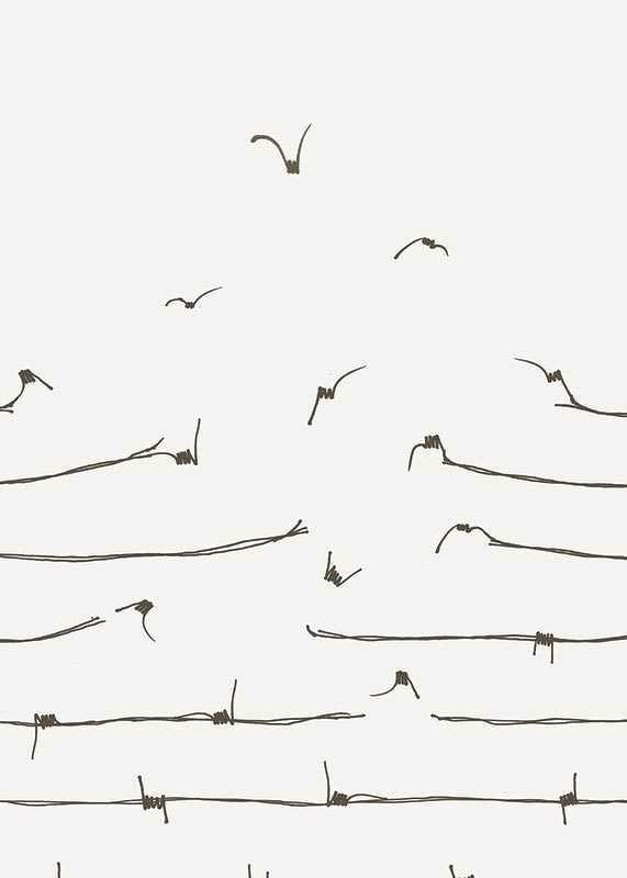 Line illustration of barbed wire turning into flying birds-12