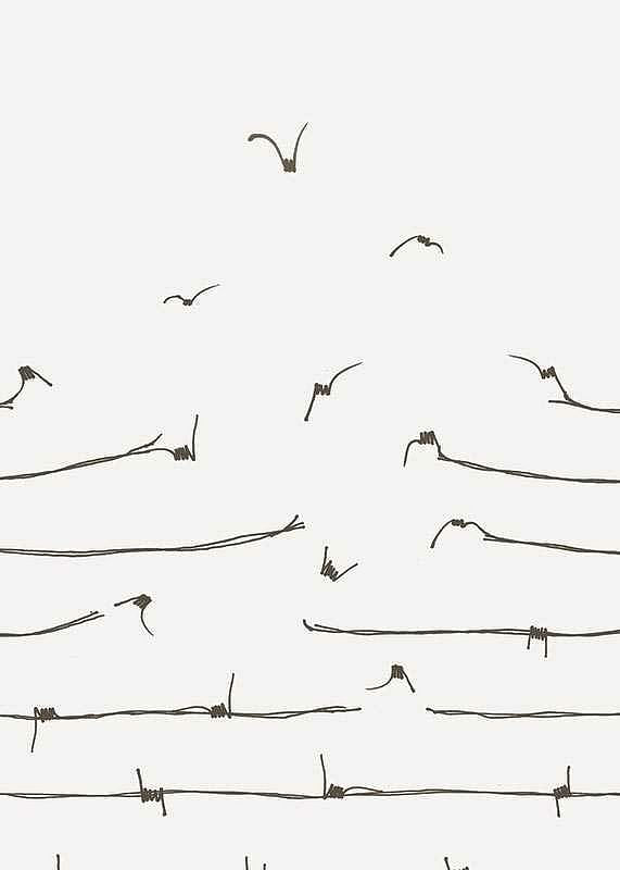 Freedom Concept-12