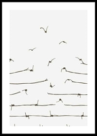 Line illustration of barbed wire turning into flying birds-0