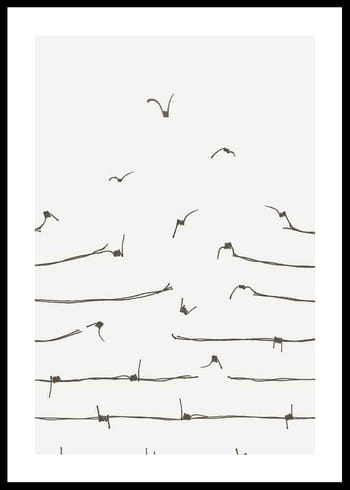 Plakat Freedom Concept