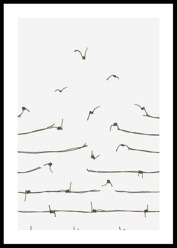 Freedom Concept-12