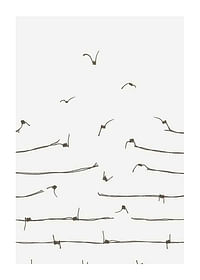 Freedom Concept-1