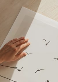 Line illustration of barbed wire turning into flying birds-9