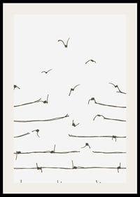 Line illustration of barbed wire turning into flying birds-2