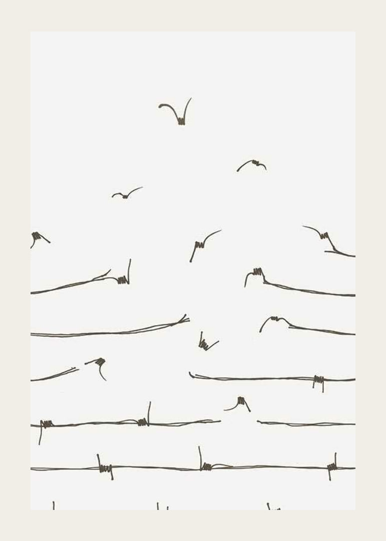 Line illustration of barbed wire turning into flying birds-12