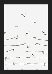 Line illustration of barbed wire turning into flying birds-5