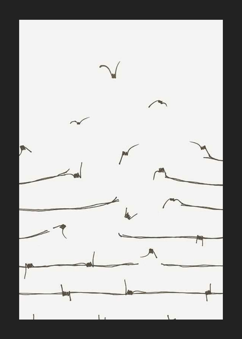 Line illustration of barbed wire turning into flying birds-12