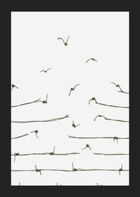 Linjeillustration av taggtråd som förvandlas till flygande fåglar-5