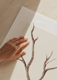 Watercolor of brown tree branch against light beige background-3