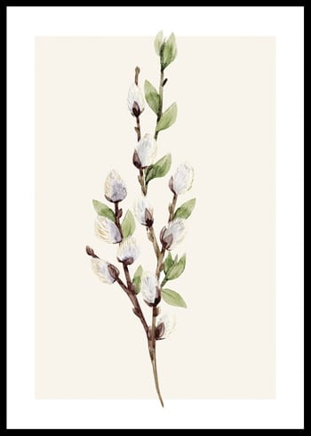 Poster Willow Branches
