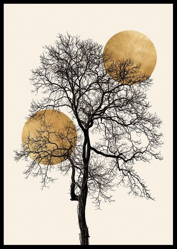 Silhouette No4-12