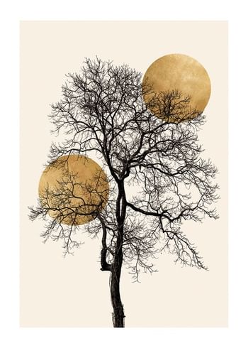 Poster Silhouette No4