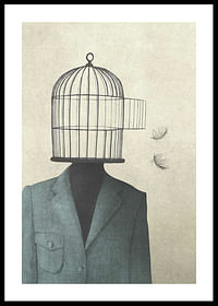 Birdcage-0