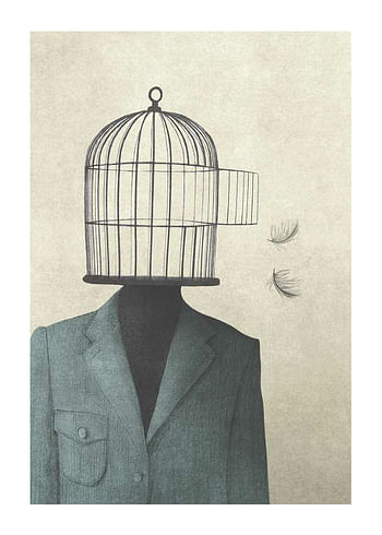 Affiche Birdcage