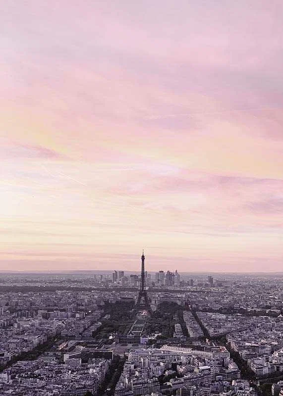 Photographic view of Paris with the Eiffel Tower in purple evening light-12