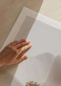 Beige Magnolia No1-5
