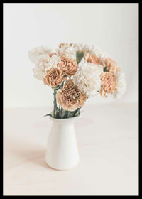 Photograph of carnations in white and beige in white vase-6