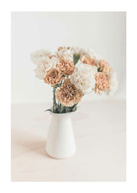 Photograph of carnations in white and beige in white vase-1