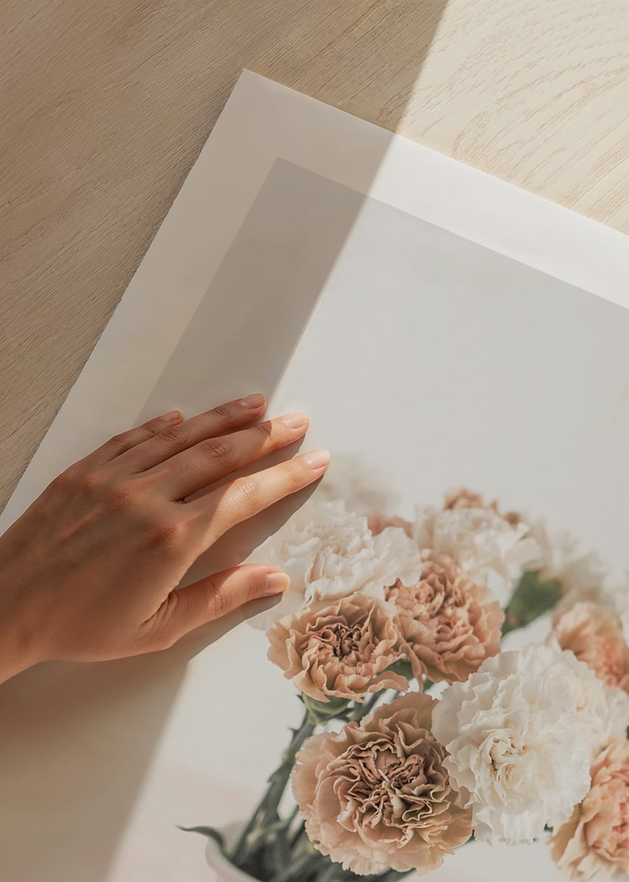 Photograph of carnations in white and beige in white vase-12