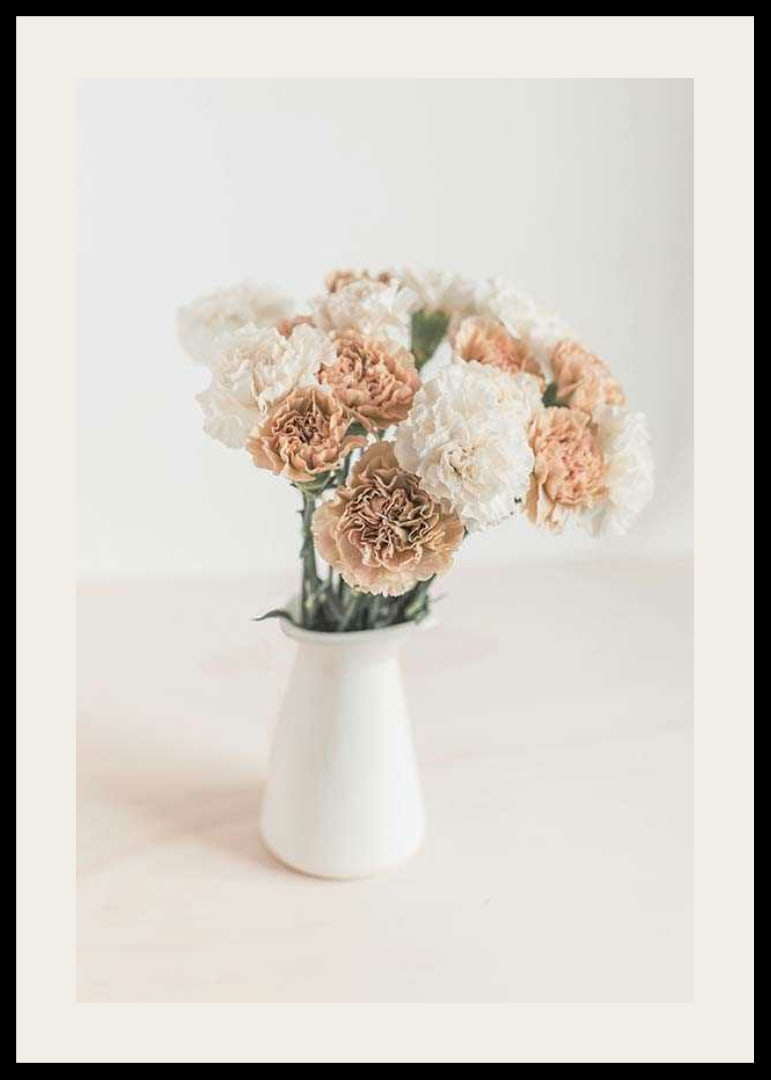 Photograph of carnations in white and beige in white vase-12