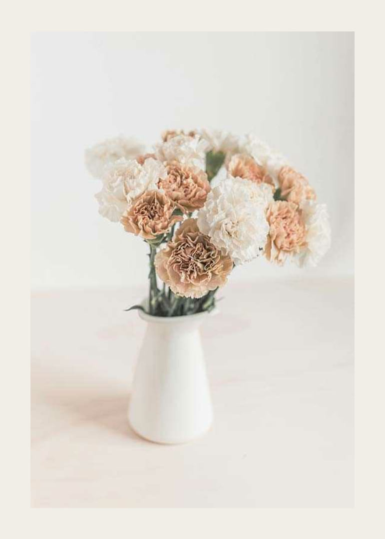 Fotografia karafiátov v bielej a béžovej farbe v bielej váze-12