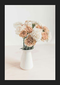 Photograph of carnations in white and beige in white vase-5